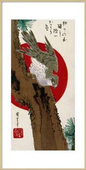 Плакат The Hawk & The Red Sun