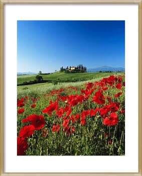 Плакат Italy, Tuscany, Val d'Orcia, farmhouse on