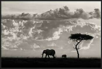 Плакат Silhouettes of Mara